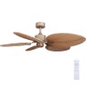 ΑΝΕΜΙΣΤΗΡΑΣ ΟΡΟΦΗΣ GRUPPE RX52-067 PALM LEAVES ME ΤΗΛΕ/ΡΙΟ ΚΑΙ DC MOTOR