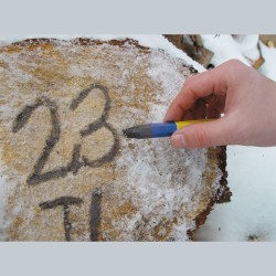 Bleispitz 0266 Κηρομπογιά για Ξηρές - Υγρές Επιφάνειες, Χαρτί, Πέτρα, Μέταλλο