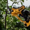 PROMO ΙΟΥΝΙΟΣ - ΣΕΠΤΕΜΒΡΙΟΣ Dewalt DCMPP568P1 Κλαδευτήρι Μπαταρίας 18V Li-Ion (1x5.0Ah)