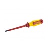 Irwin 1951865 Κατσαβίδι με Μόνωση 1000V PZ2 x 125mm